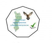 Логотип Усть-Удинской ТИК